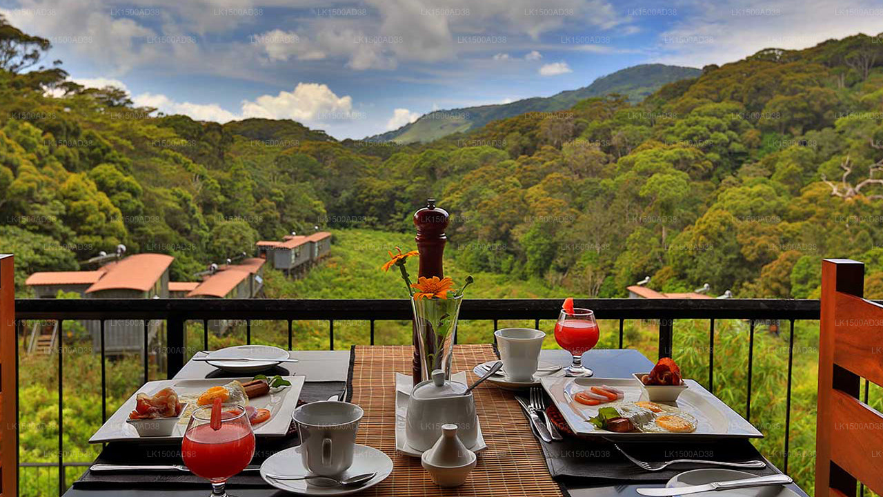 Rainforest Ecolodge, Ratnapura