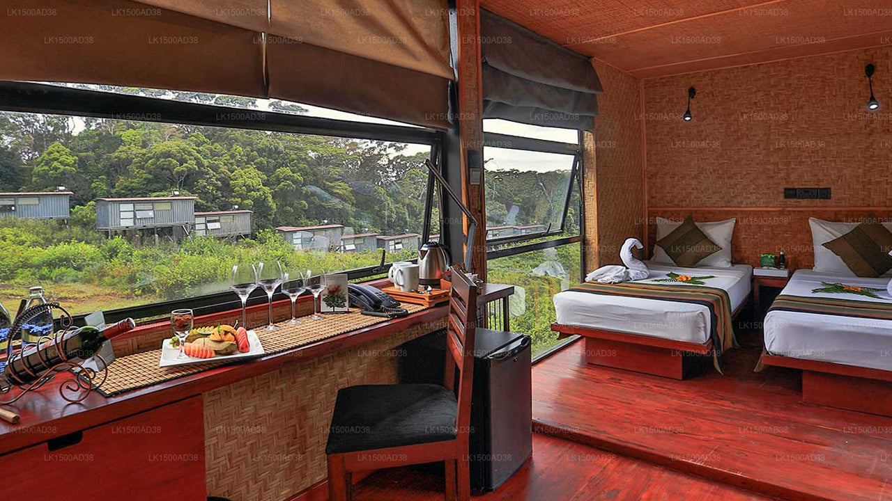 Rainforest Ecolodge, Ratnapura