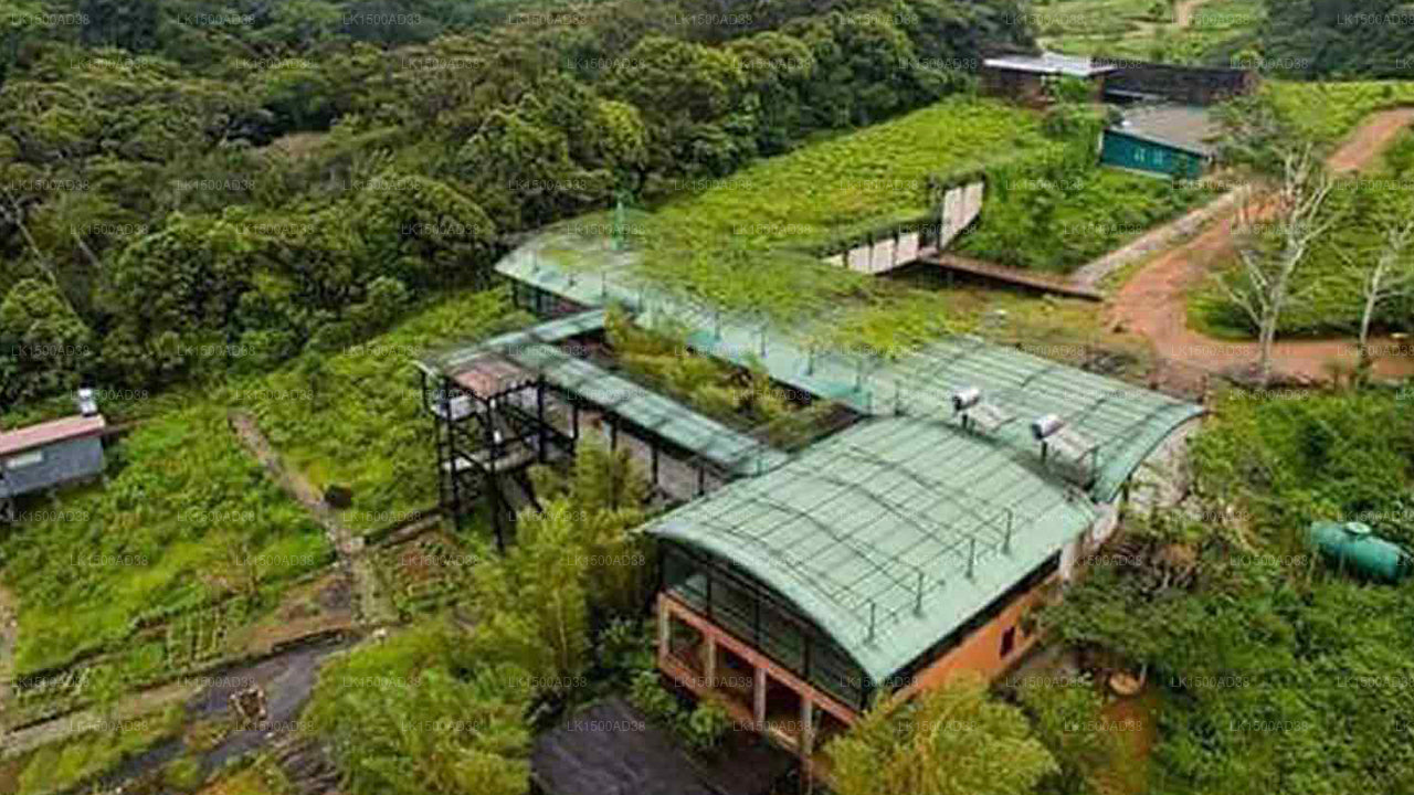 Rainforest Ecolodge, Ratnapura