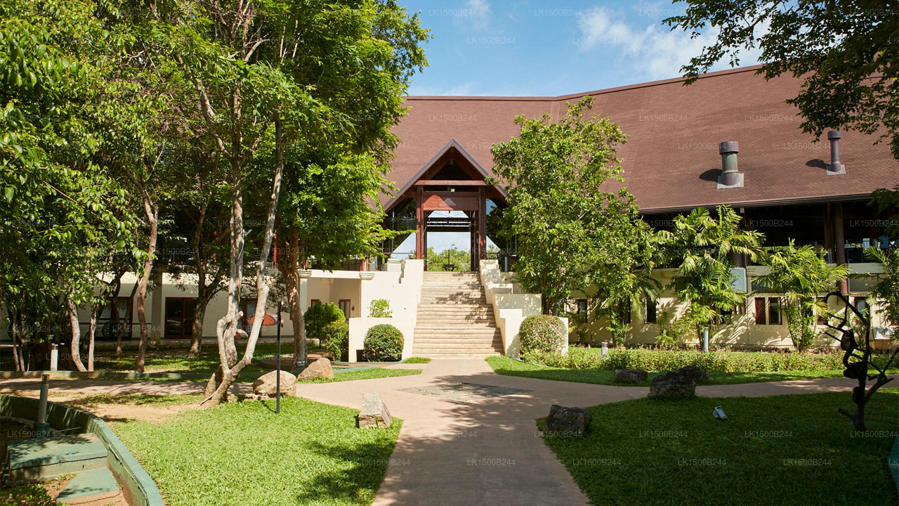 西方天堂，丹布拉