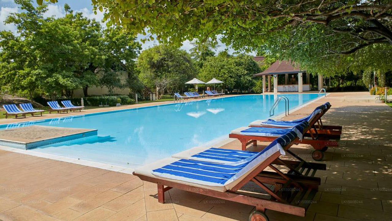 西方天堂，丹布拉