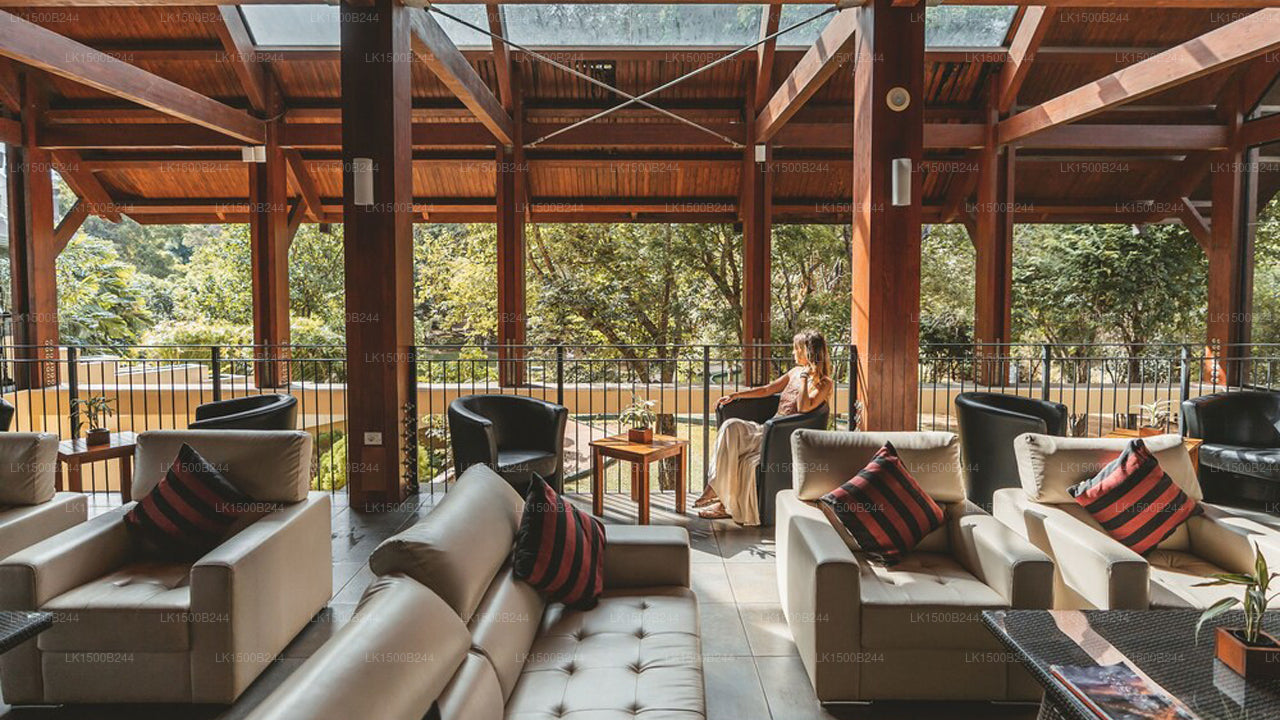 西方天堂，丹布拉