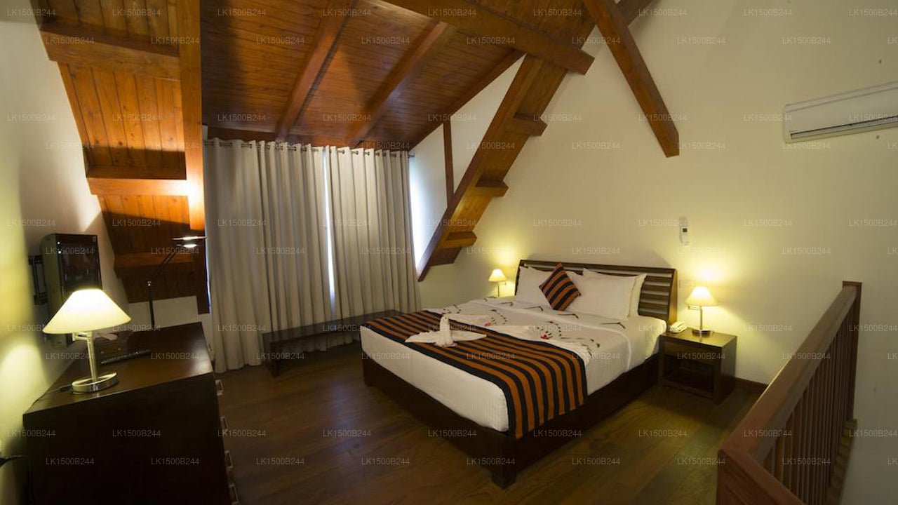 西方天堂，丹布拉