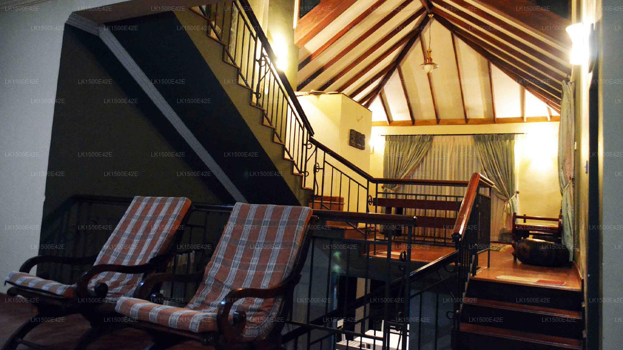 艾拉·希尔克雷斯特