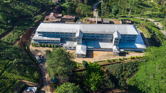 Hynford bungalow, Nawalapitiya