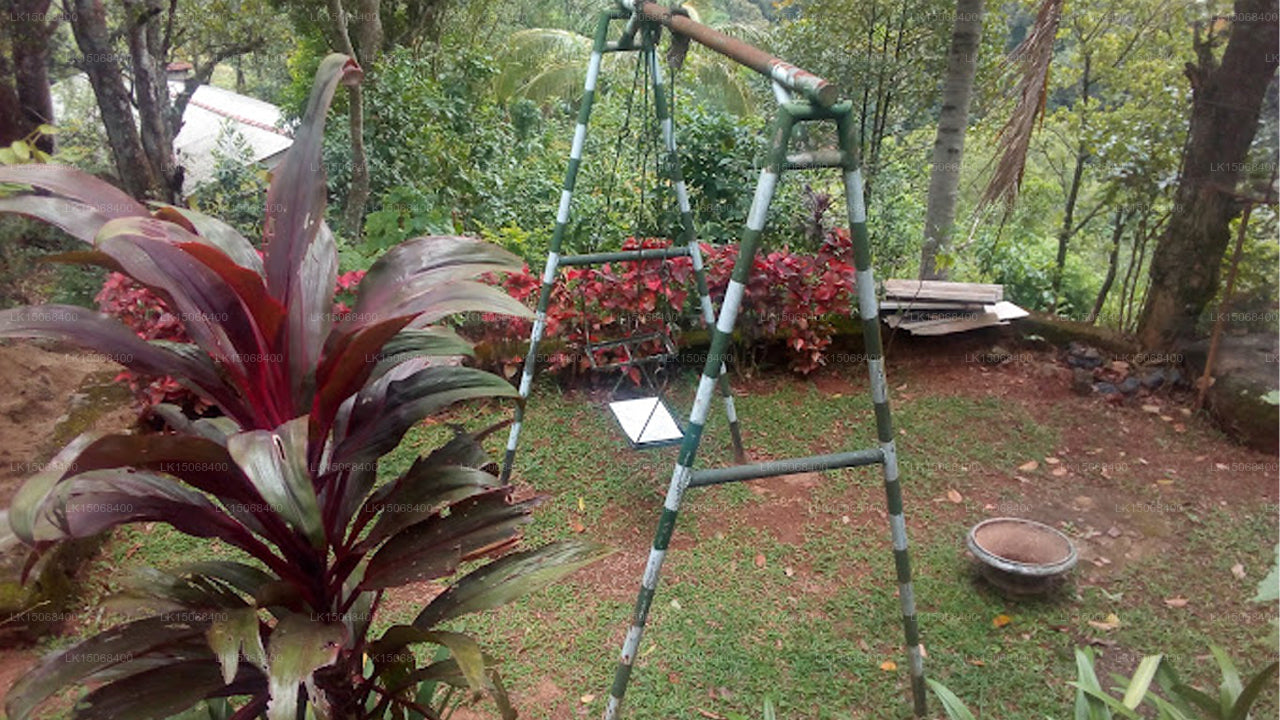 Pine Forest Inn Holiday Bungalow, Watawala