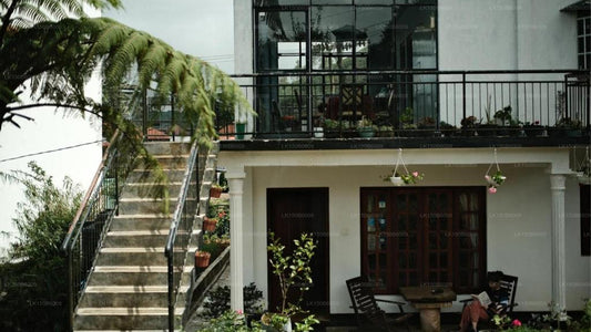 Lassana Villa, Nuwara Eliya