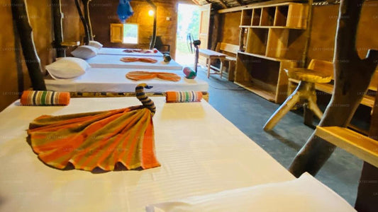 Eco Tree House, Tangalle