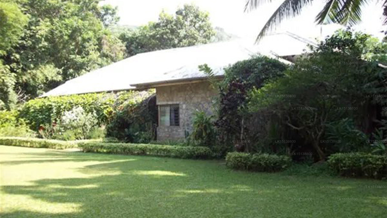 Raththota Longville, Matale