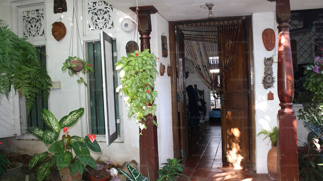 Chelsea Gardens, Colombo