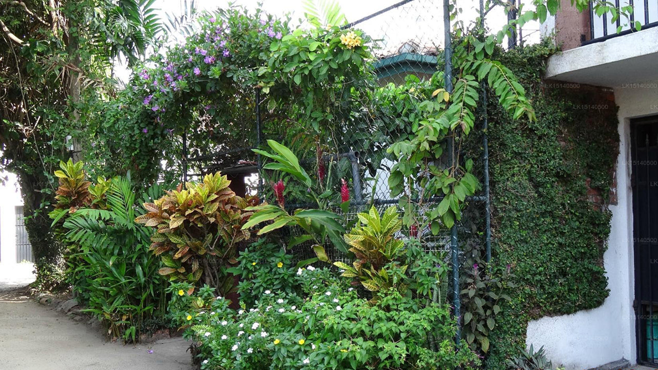 Chelsea Gardens, Colombo