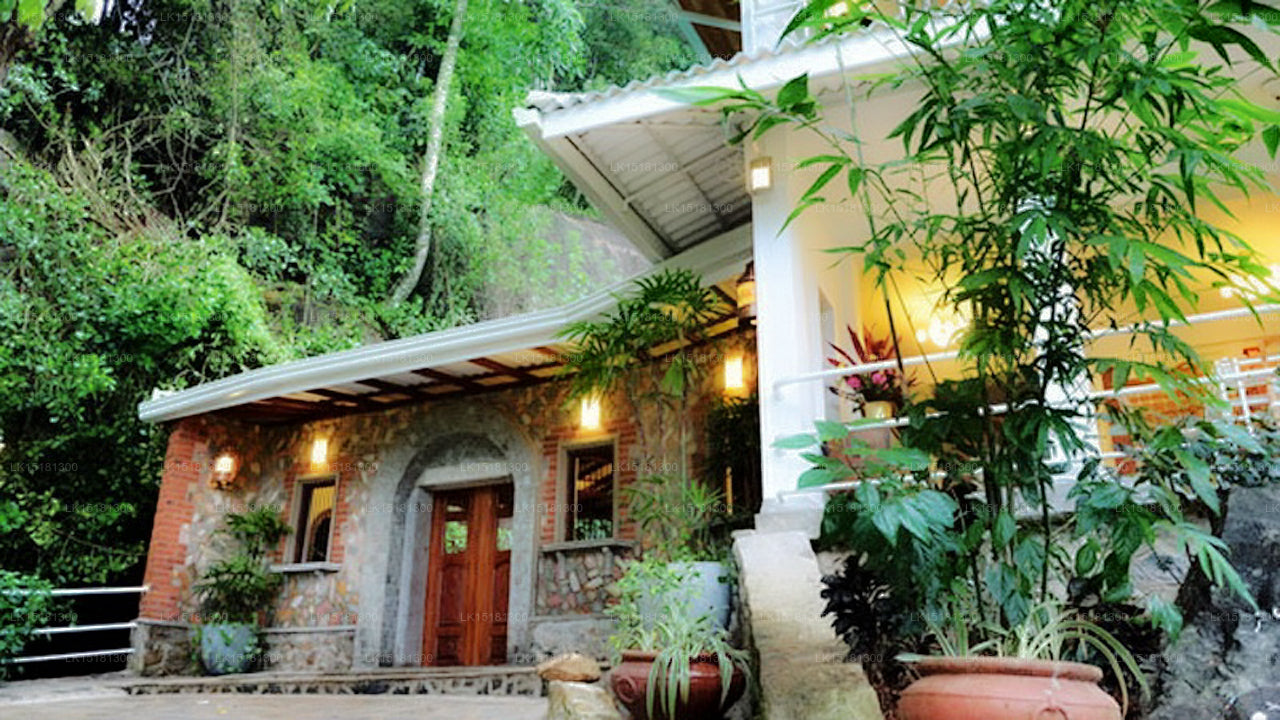 森林边缘，基图尔加勒