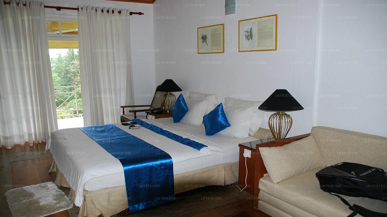 森林边缘，基图尔加勒