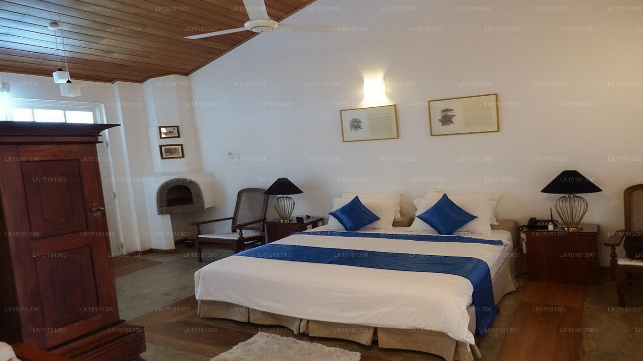 森林边缘，基图尔加勒