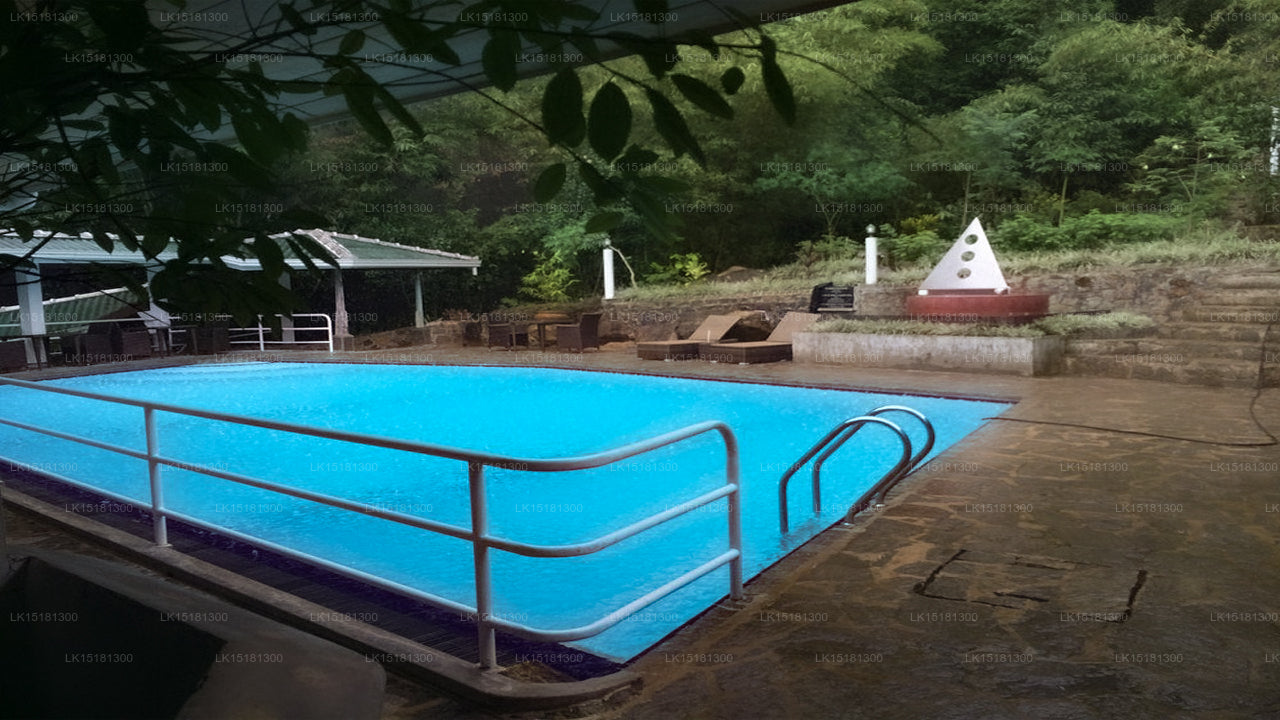 森林边缘，基图尔加勒