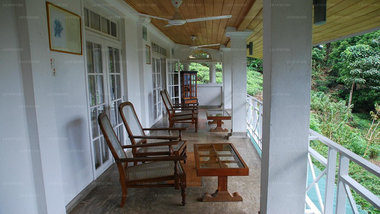 森林边缘，基图尔加勒