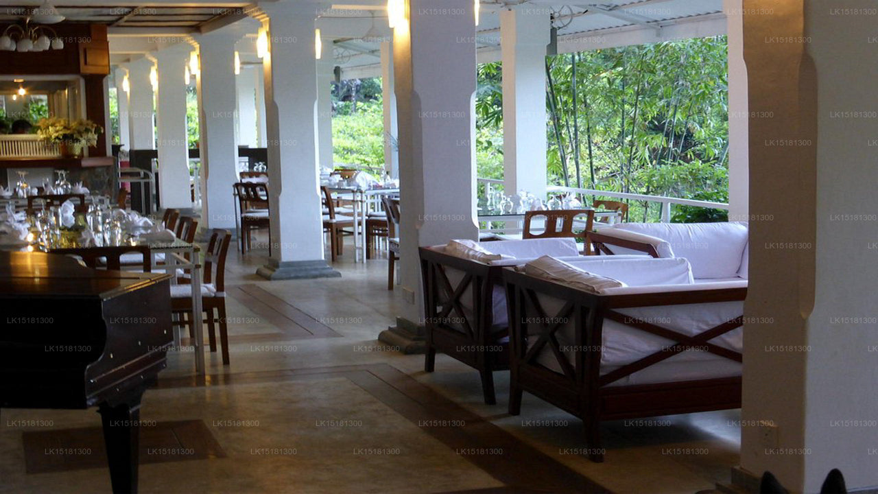 森林边缘，基图尔加勒