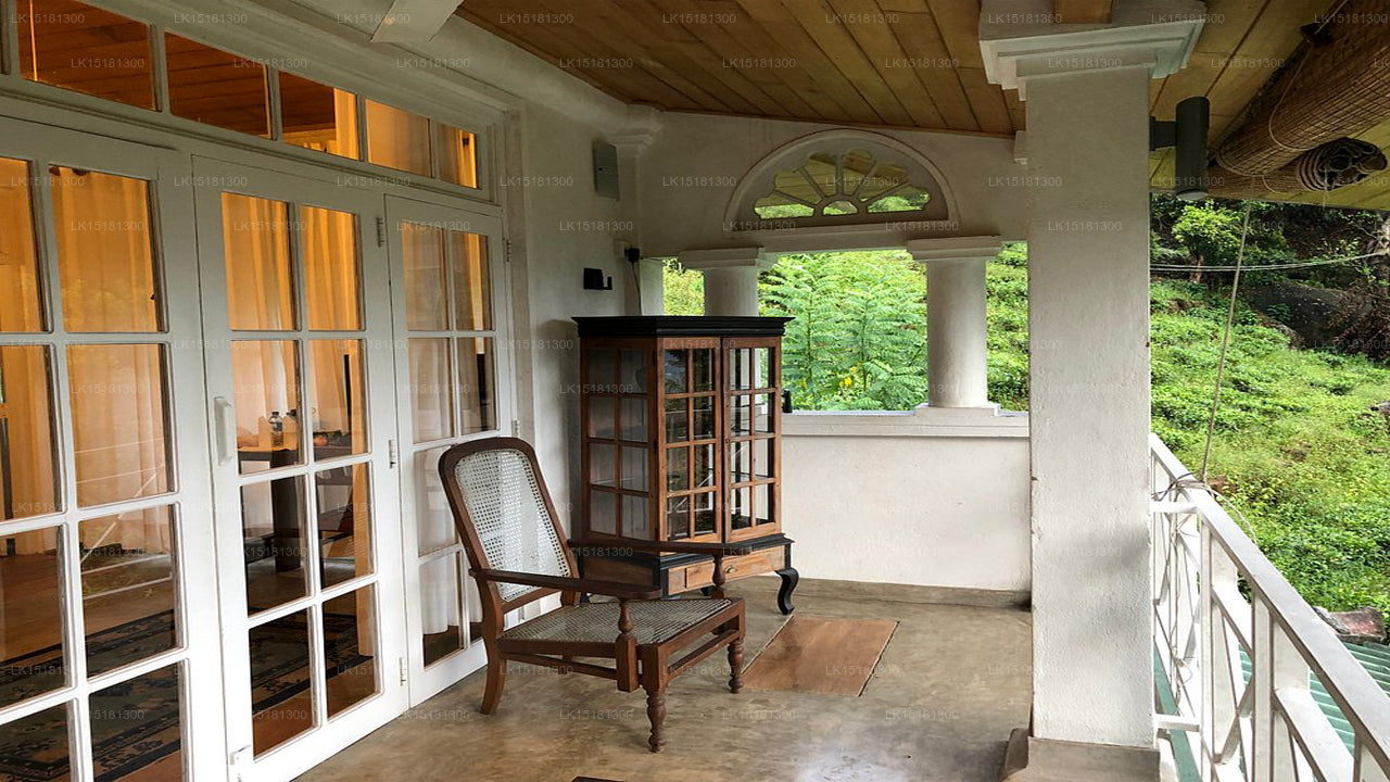 森林边缘，基图尔加勒