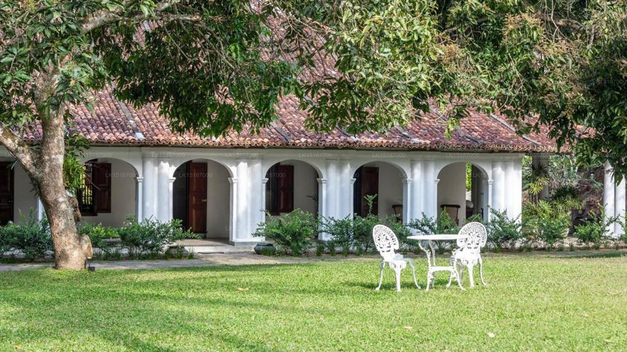 The Kandy House