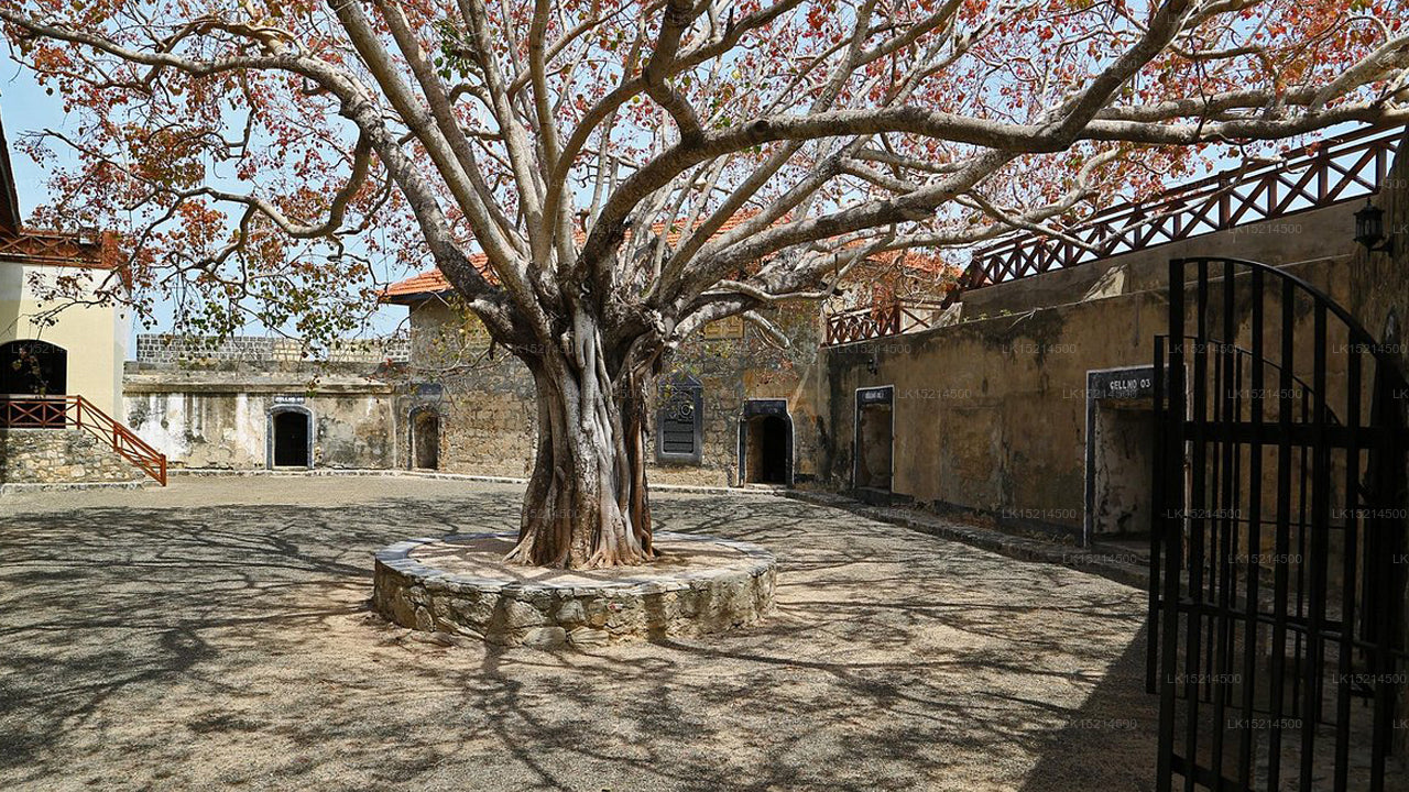 Fort Hammenhiel, Jaffna