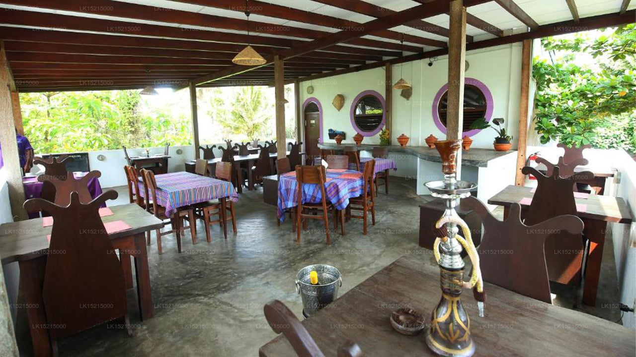 Turtle Eco Beach, Matara