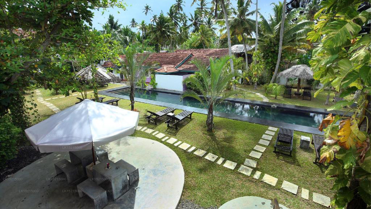 Turtle Eco Beach, Matara