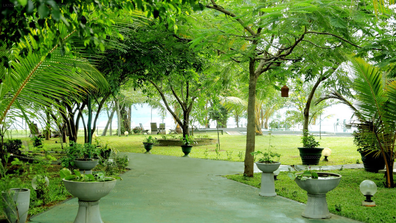 湖畔公园酒店，波隆纳鲁瓦