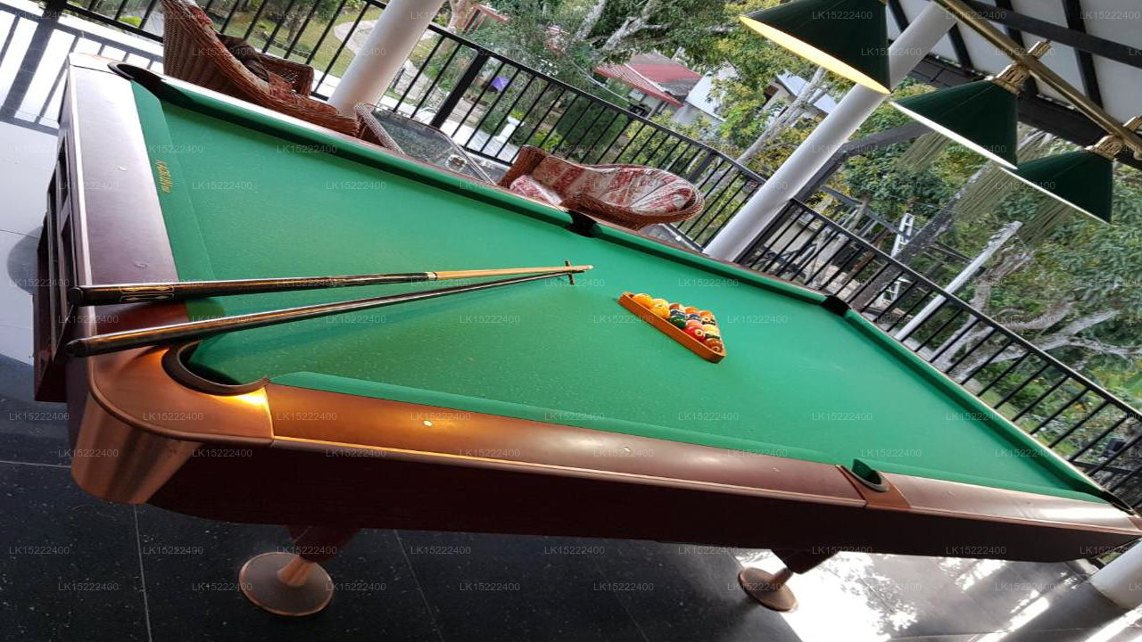 Forest Paradise, Ella