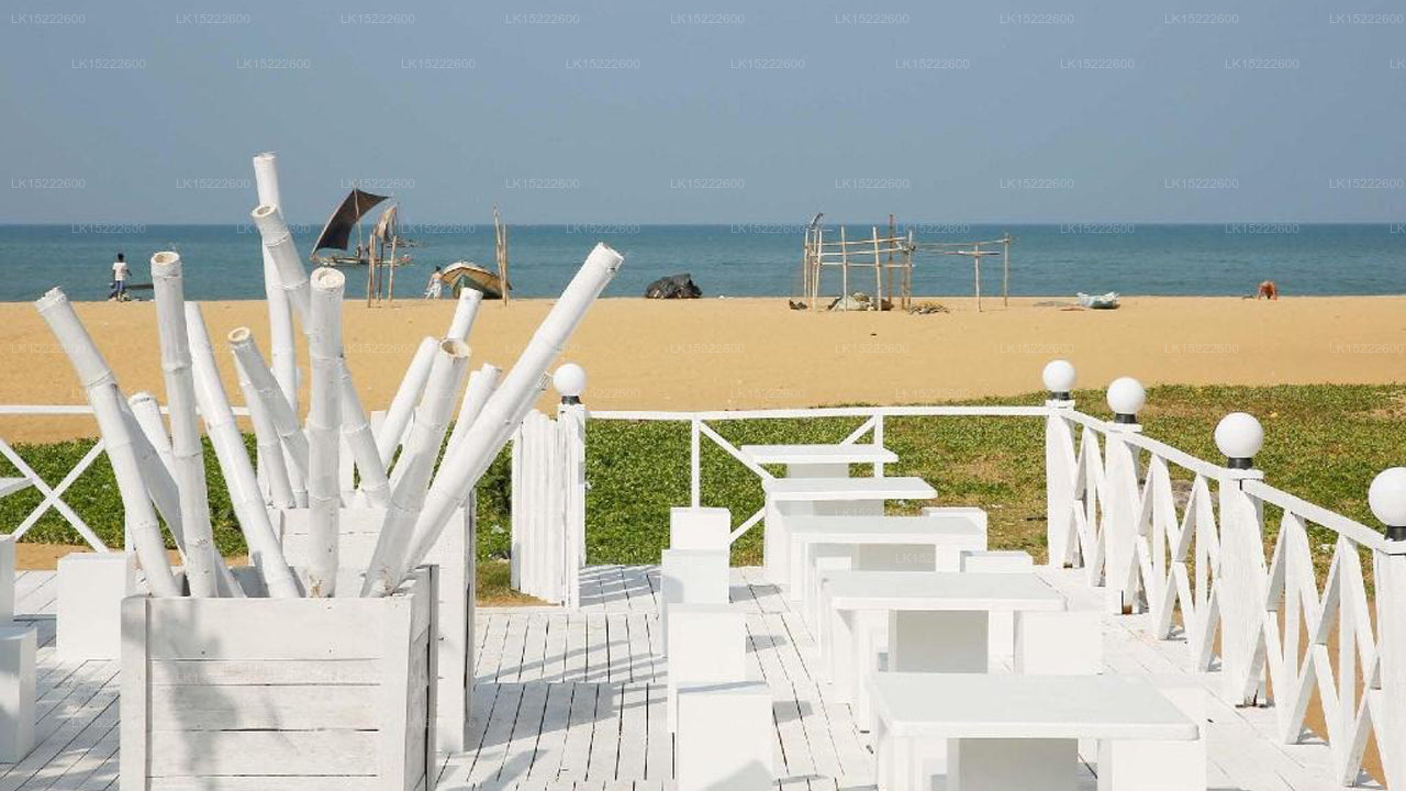 C Negombo, Negombo