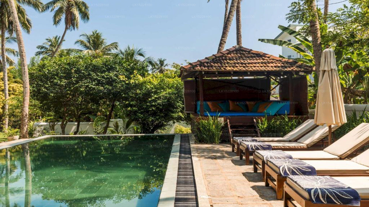 Coconut Grove, Galle