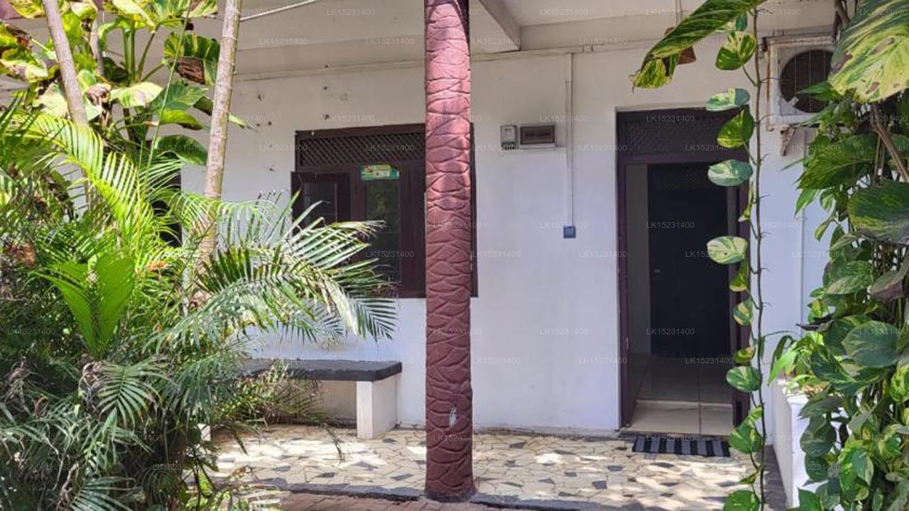 The Arugam Hostel, Arugam Bay