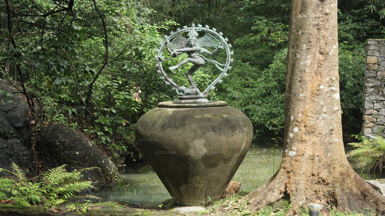 Diyabubula the Barberyn Art & Jungle Hideaway, Dambulla