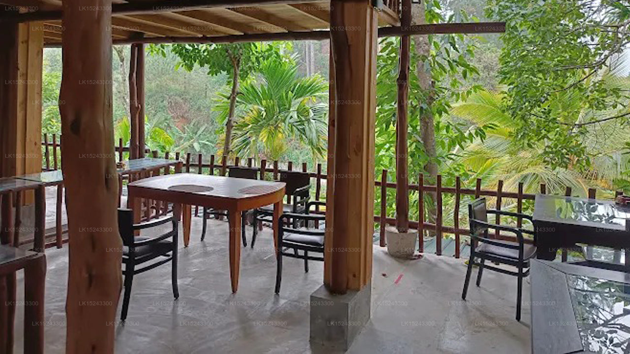 Villa Eden Paradise, Ella