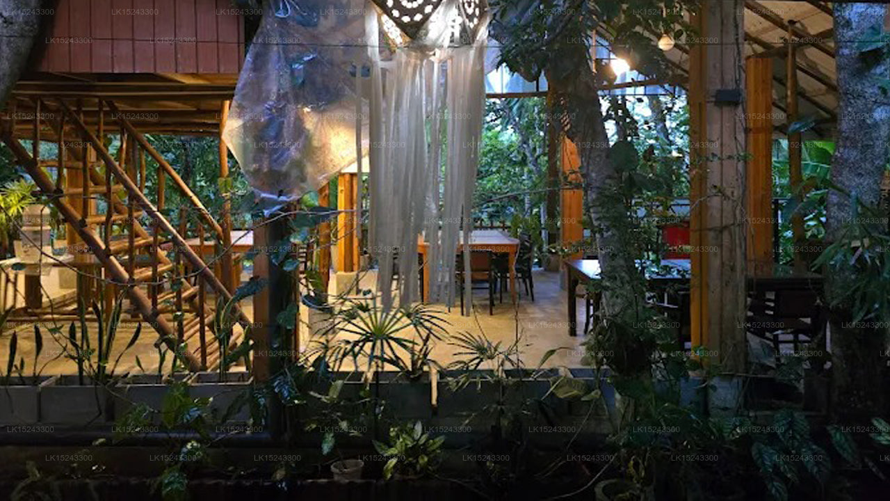 Villa Eden Paradise, Ella