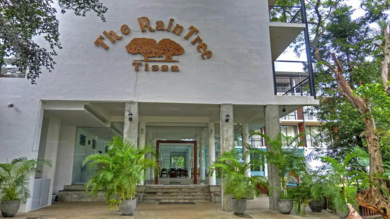 The Rain Tree, Tissamaharama
