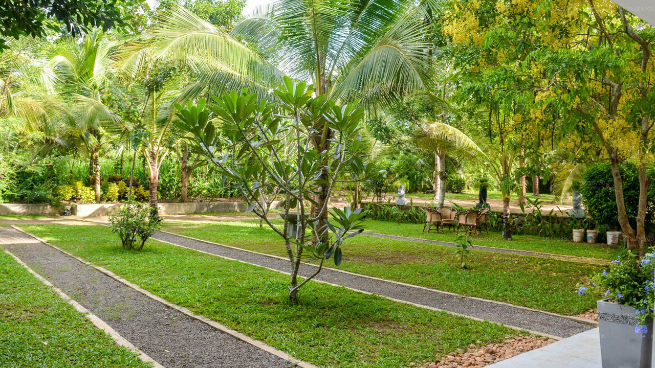 Calluna Hotel, Tangalle