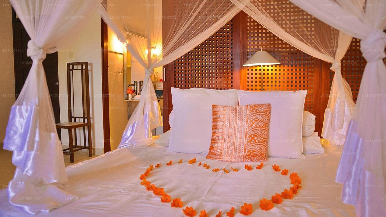 Ayurveda Shunyata Villa, Negombo