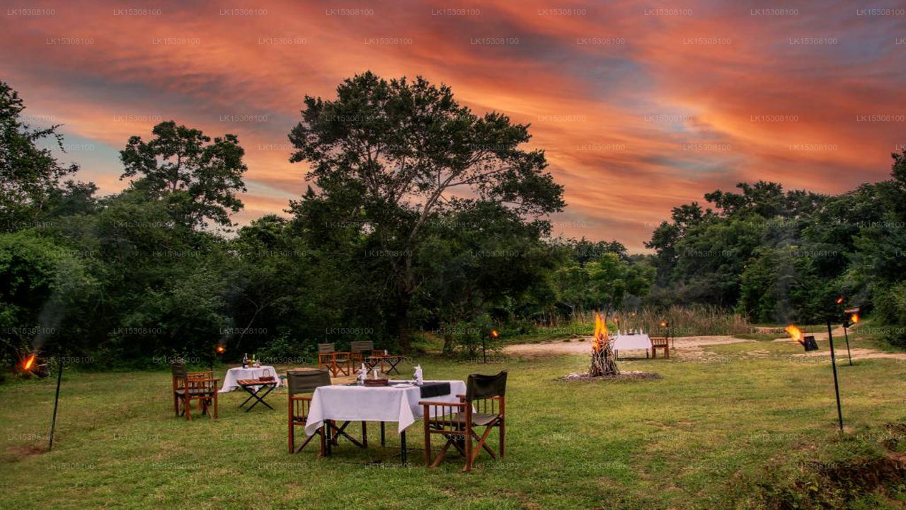 Eco Team Safari Camps, Yala