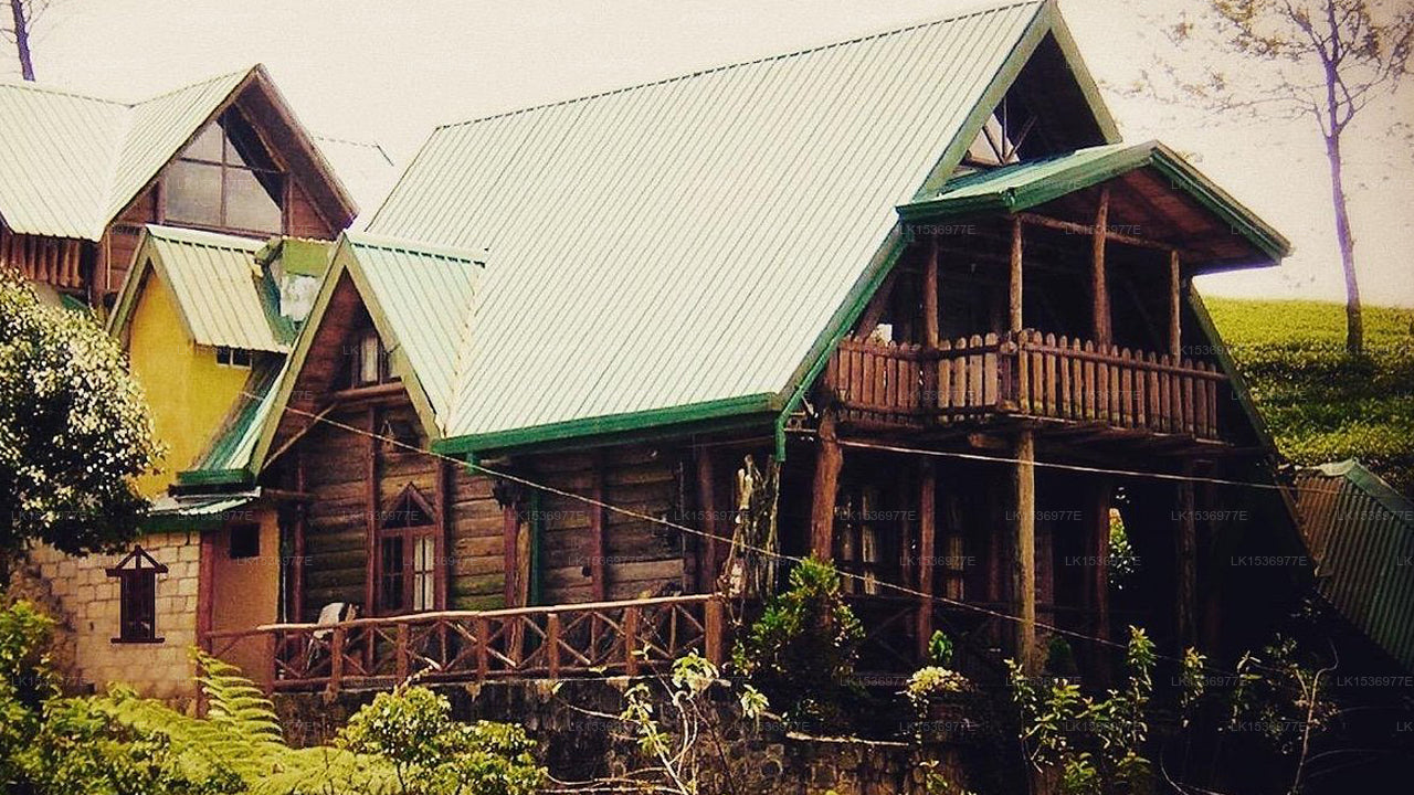 The Log, Nuwara Eliya