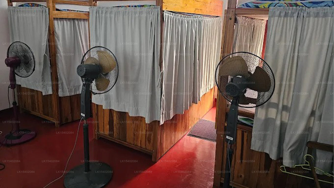 Ceylon StayZ, Colombo