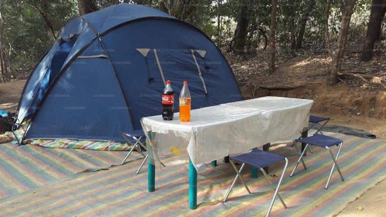 Udawalawe Wildlife & Nature Protection, Udawalawe