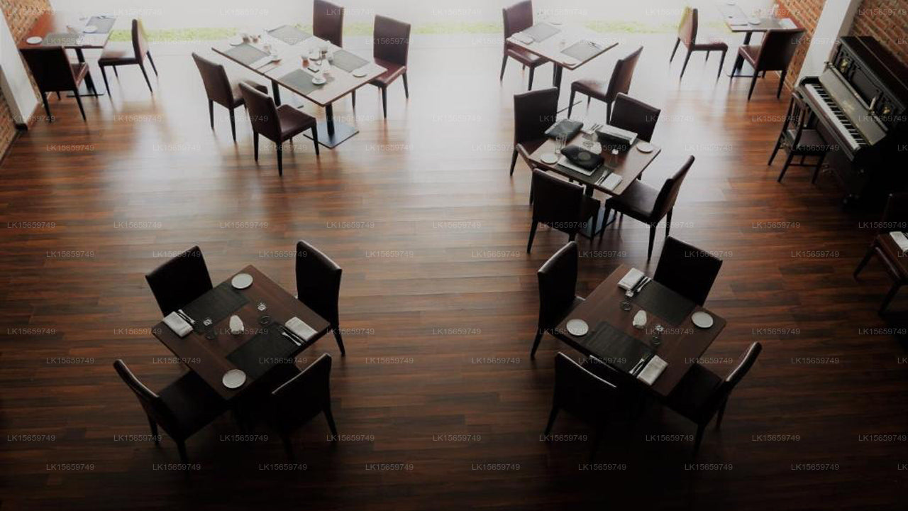 Daffodils Beach, Negombo