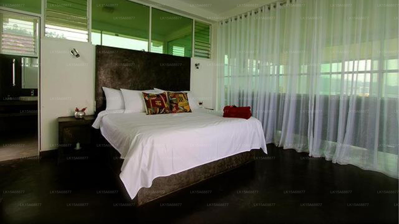 Singha Sanasa Luxury Homestay,Nuwara eliya