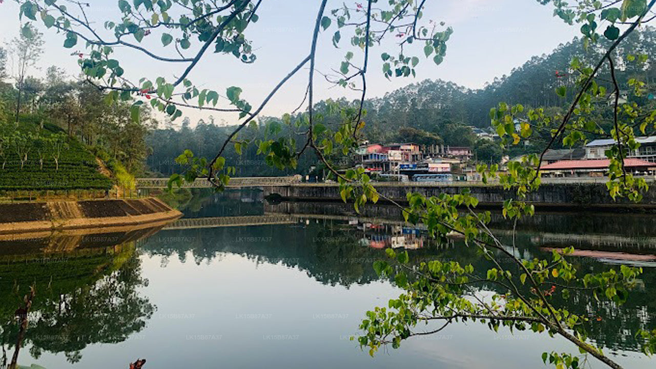 River Front Home Stay, Udawalawe