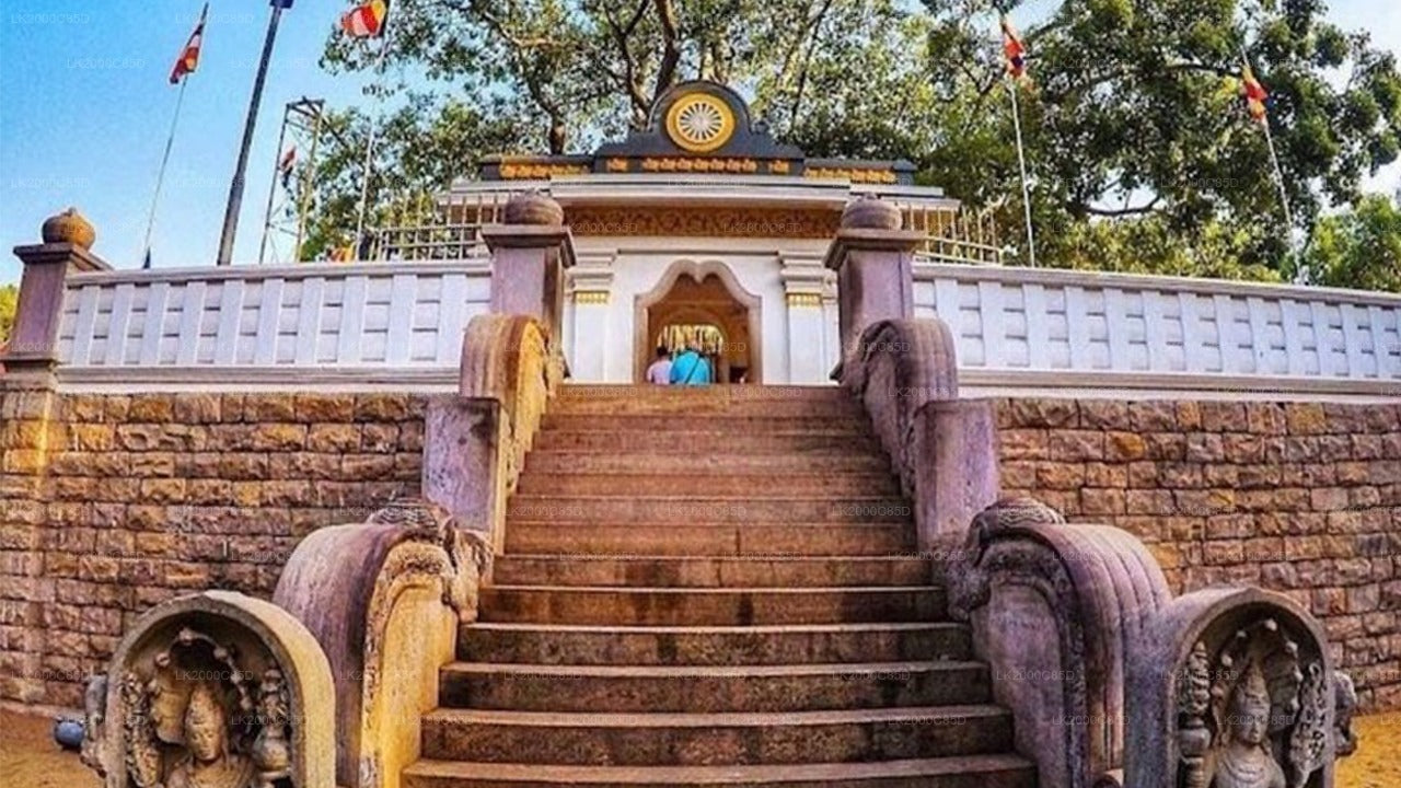 阿努拉德普勒圣地导览游（含门票）