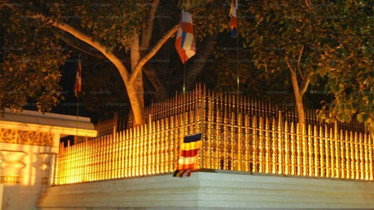 阿努拉德普勒圣地导览游（含门票）