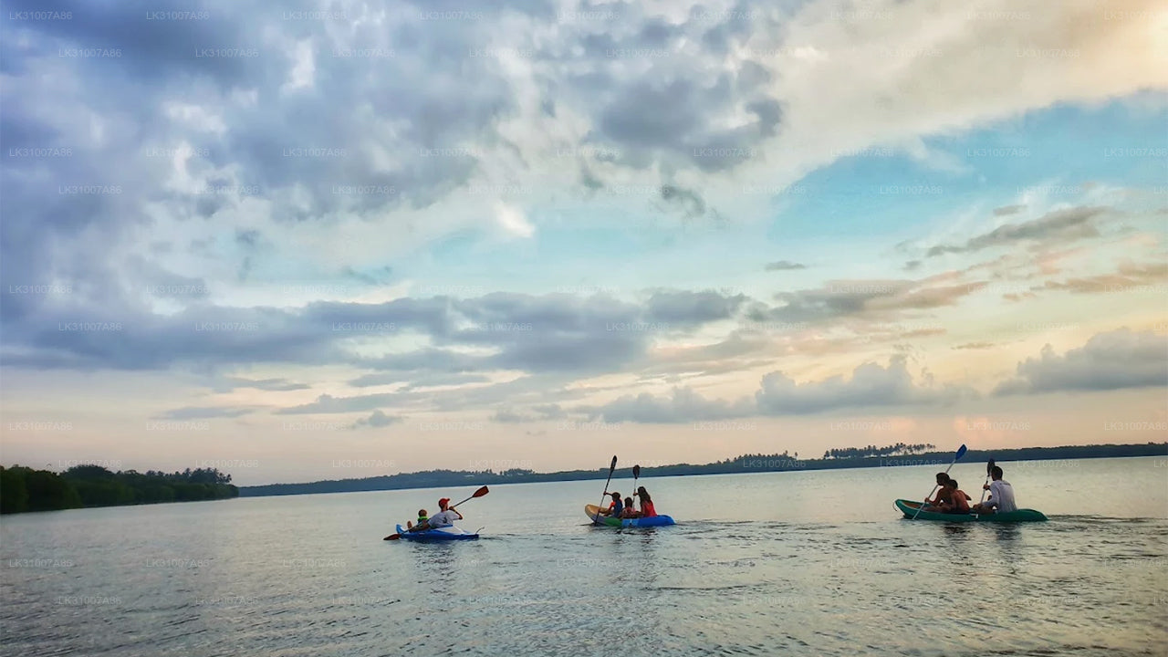 尼甘布出发：泻湖皮划艇之旅