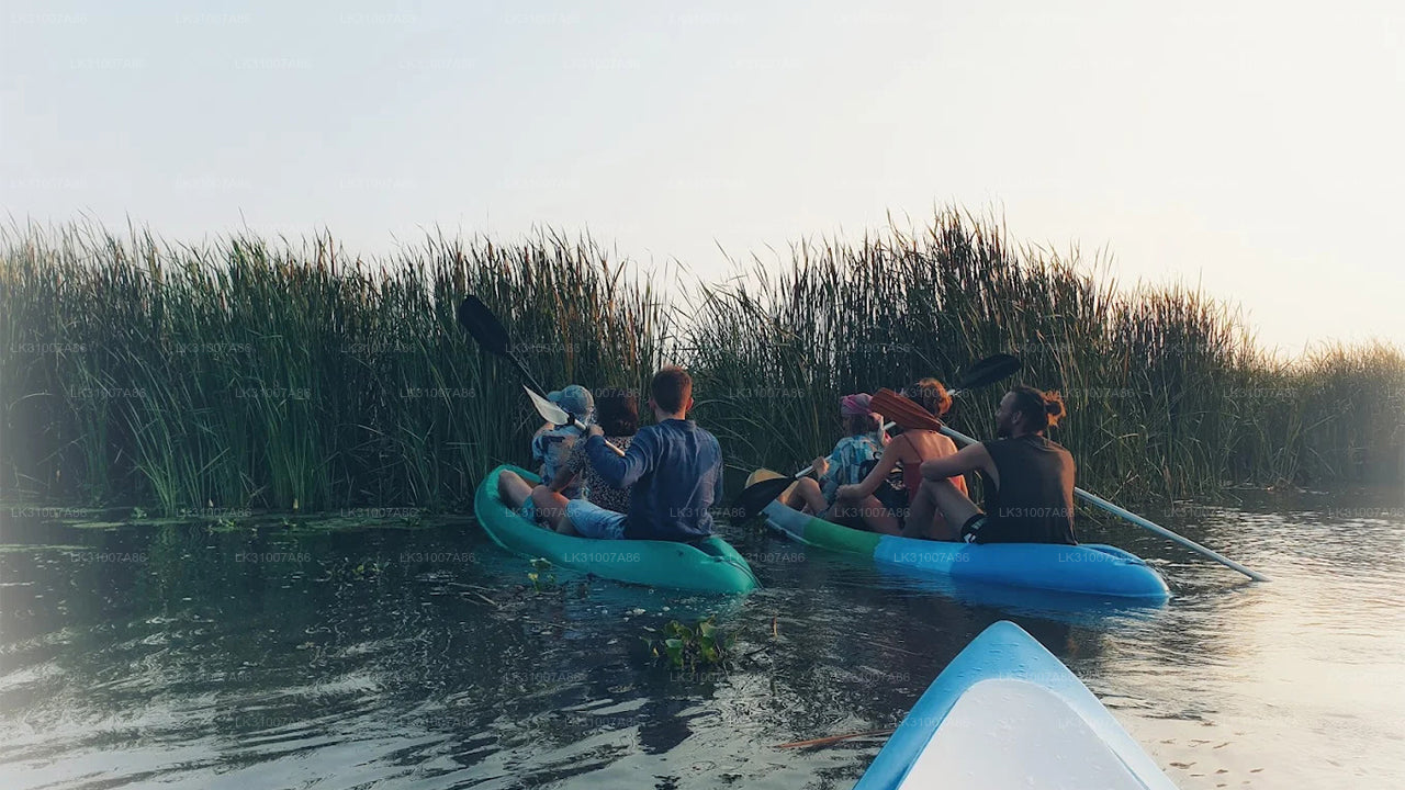 尼甘布出发：泻湖皮划艇之旅