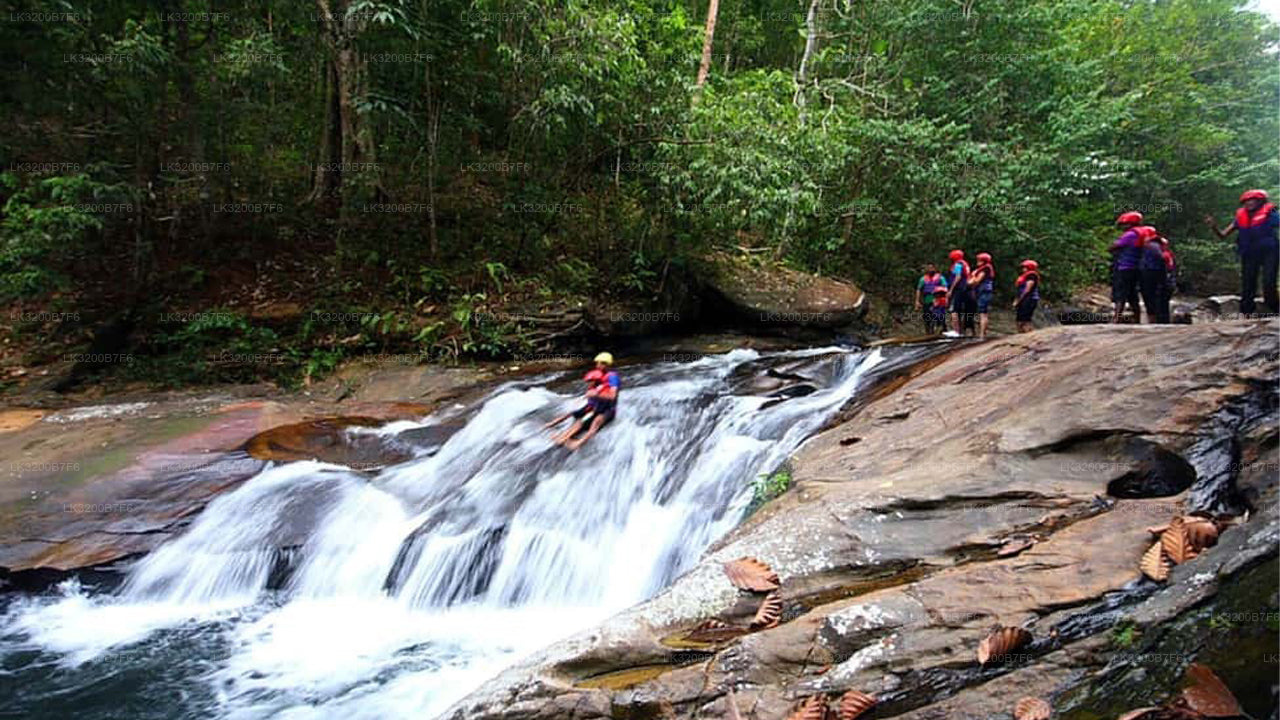 Group of people near a waterfall in a forest