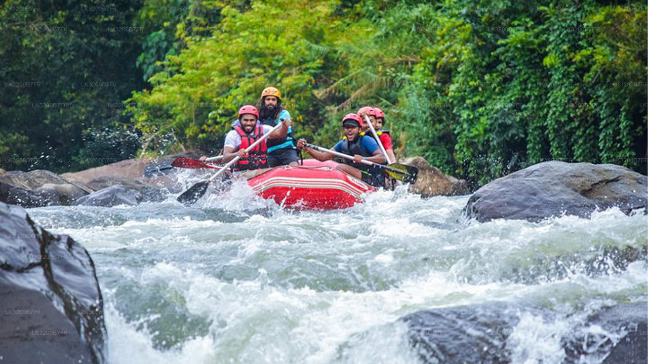 Group of people white water rafting in a forested area